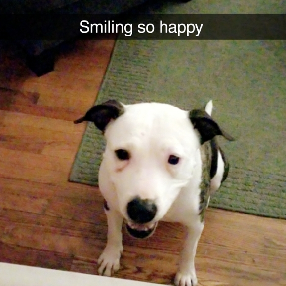 Meet your Posher, Sara - Picture 2 of 3